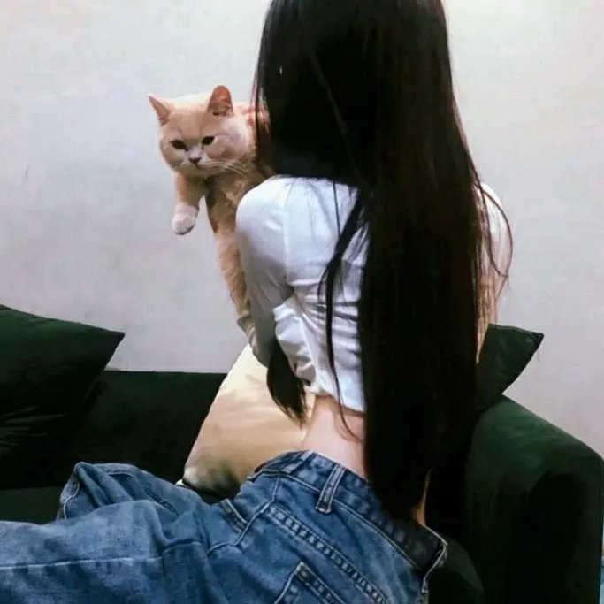 宝岛妖后